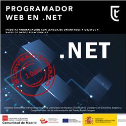 Programador web .net